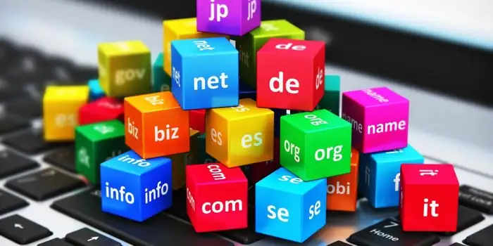 Domain Registration