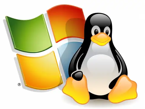 Web Hosting